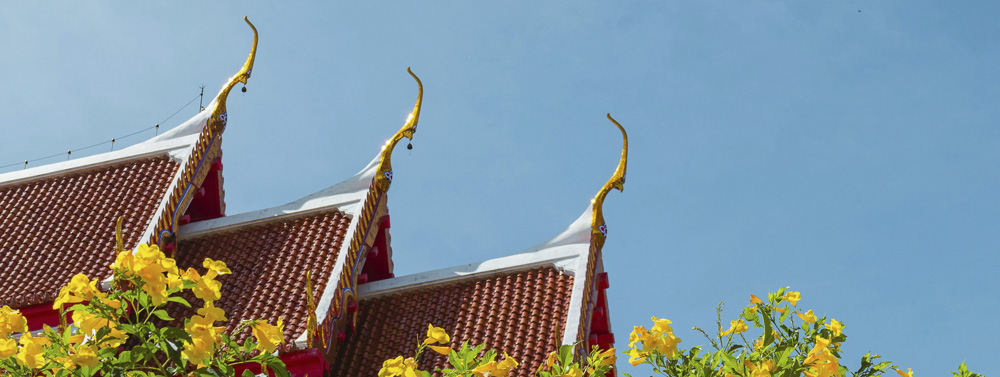 Temple Koh Tao image