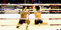 La boxe thailandaise