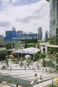 SiamParagon